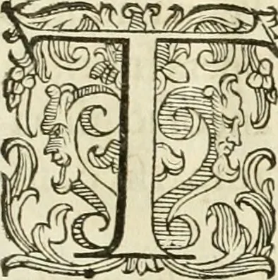 An illustration from Ombre apparenti nel Teatro d'imprese, 1629, leaf 14
