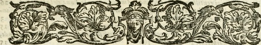 An illustration from Ombre apparenti nel Teatro d'imprese, 1629, leaf 18