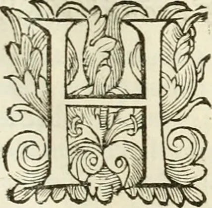 An illustration from Ombre apparenti nel Teatro d'imprese, 1629, leaf 192