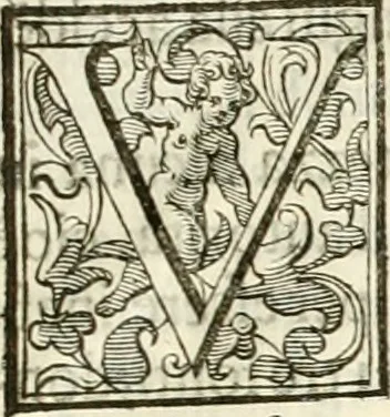 An illustration from Ombre apparenti nel Teatro d'imprese, 1629, leaf 546