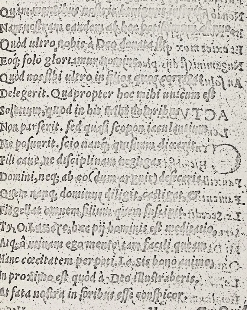 An illustration from Omnes Georgii Macropedii Fabvlae comicae, denvo recognite, et iusto ordine (prout editae sunt) in duas partes diuisae, 1552, leaf 112