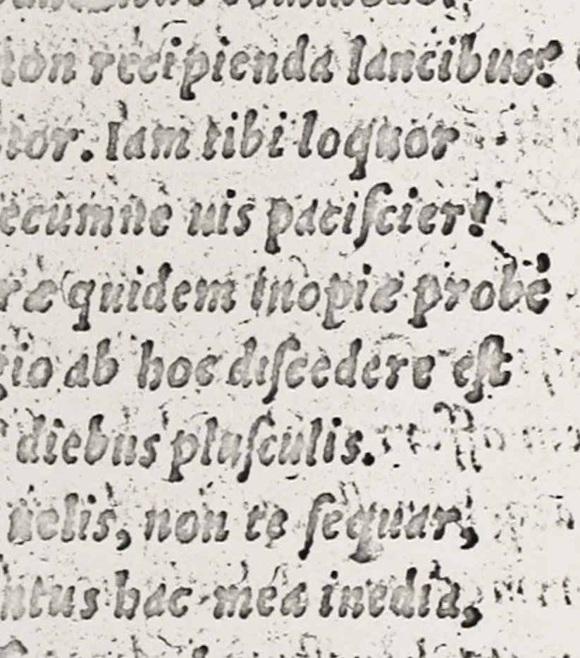 An illustration from Omnes Georgii Macropedii Fabvlae comicae, denvo recognite, et iusto ordine (prout editae sunt) in duas partes diuisae, 1552, leaf 125