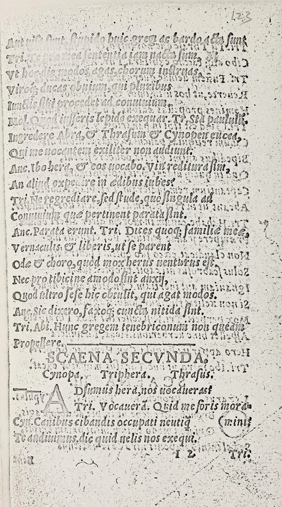 An illustration from Omnes Georgii Macropedii Fabvlae comicae, denvo recognite, et iusto ordine (prout editae sunt) in duas partes diuisae, 1552, leaf 130