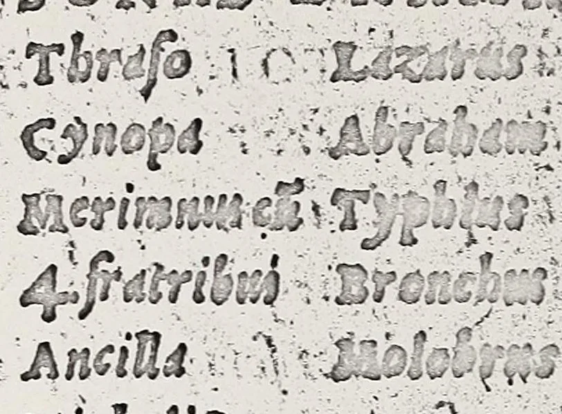 An illustration from Omnes Georgii Macropedii Fabvlae comicae, denvo recognite, et iusto ordine (prout editae sunt) in duas partes diuisae, 1552, leaf 98