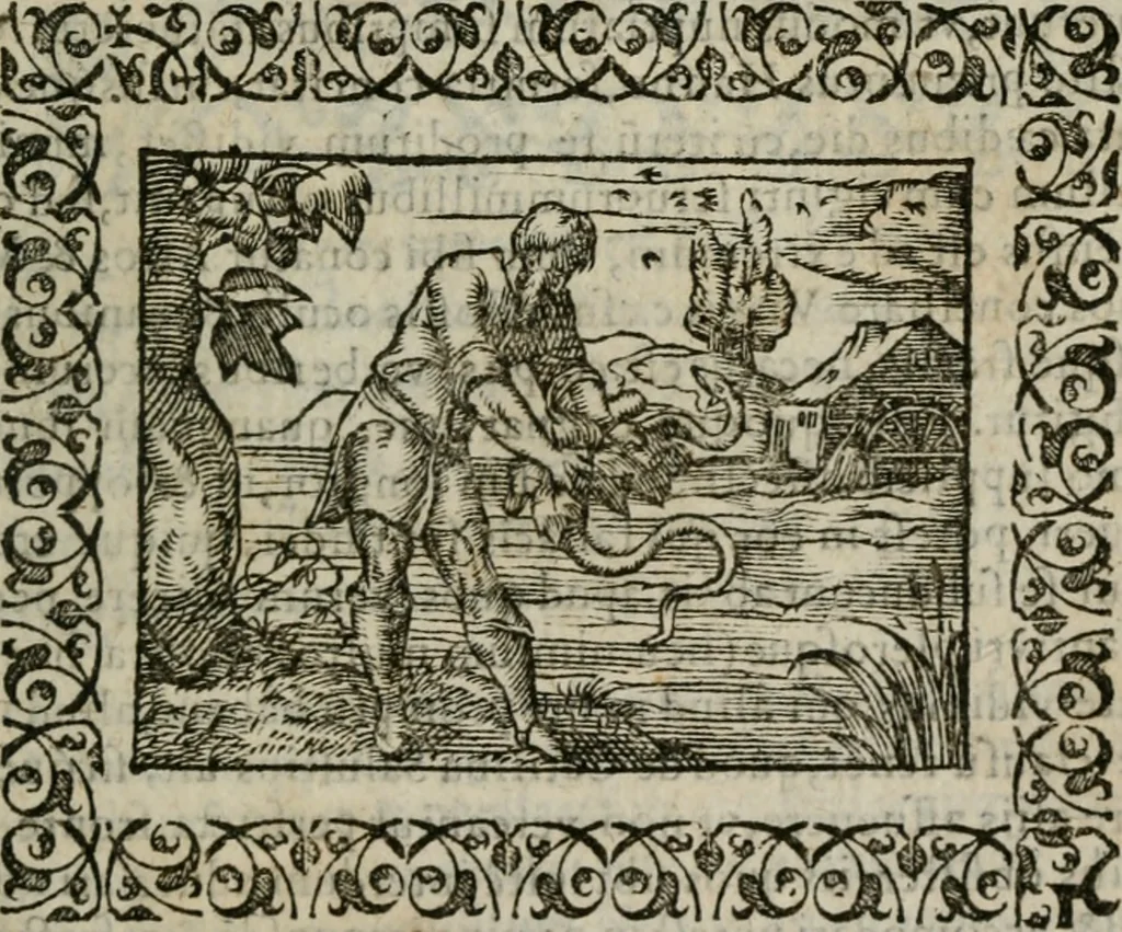 An illustration from Omnia Andreae Alciati v. c. emblemata : cum commentariis, quibus emblematum omnium aperta origine, mens authoris explicatur, & obscura omnia dubiaque illustrantur, 1583, leaf 116