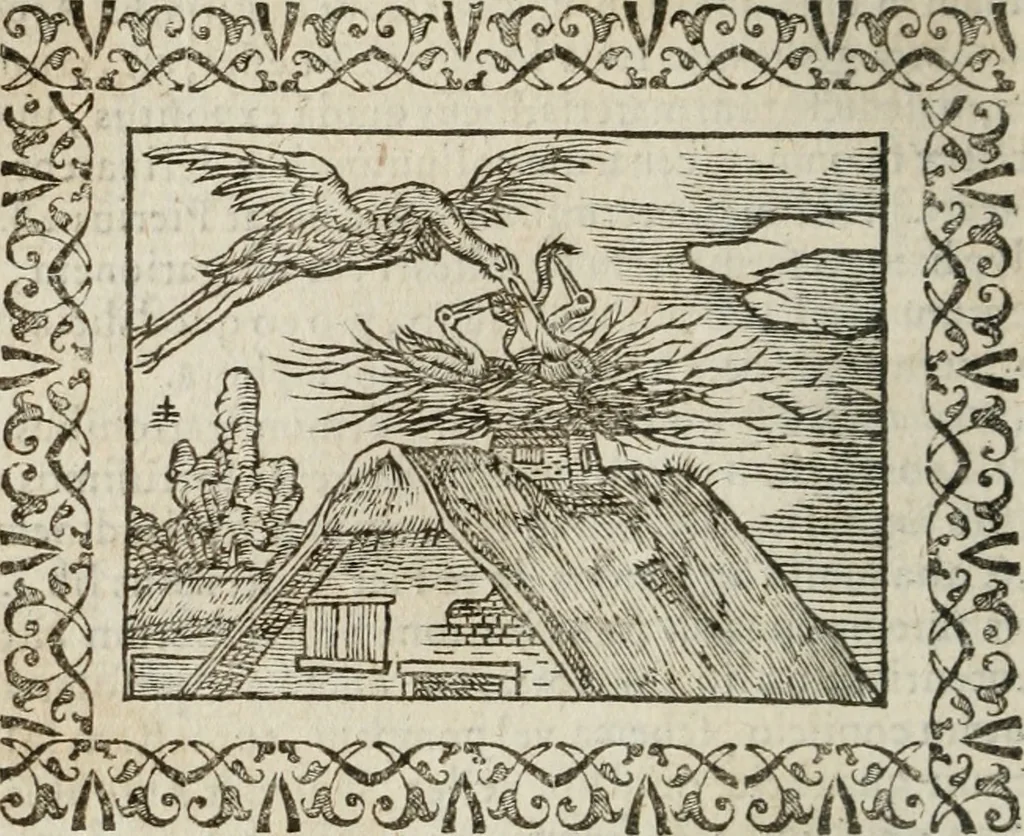 An illustration from Omnia Andreae Alciati v. c. emblemata : cum commentariis, quibus emblematum omnium aperta origine, mens authoris explicatur, & obscura omnia dubiaque illustrantur, 1583, leaf 153