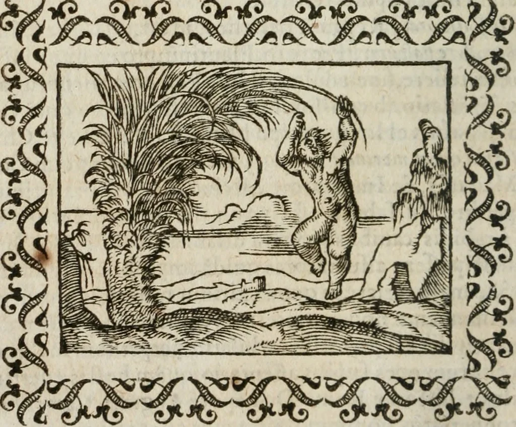 An illustration from Omnia Andreae Alciati v. c. emblemata : cum commentariis, quibus emblematum omnium aperta origine, mens authoris explicatur, & obscura omnia dubiaque illustrantur, 1583, leaf 173
