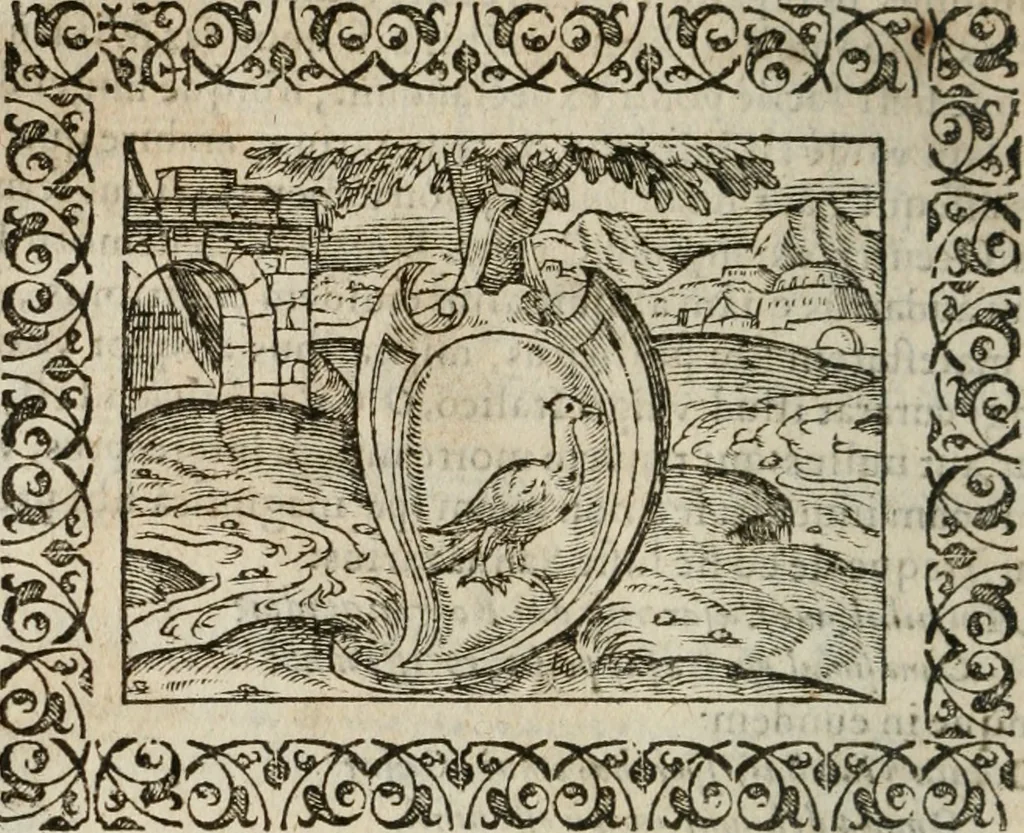 An illustration from Omnia Andreae Alciati v. c. emblemata : cum commentariis, quibus emblematum omnium aperta origine, mens authoris explicatur, & obscura omnia dubiaque illustrantur, 1583, leaf 205