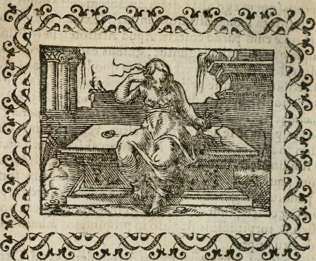 An illustration from Omnia Andreae Alciati v. c. emblemata : cum commentariis, quibus emblematum omnium aperta origine, mens authoris explicatur, & obscura omnia dubiaque illustrantur, 1583, leaf 207