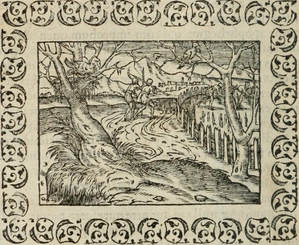 An illustration from Omnia Andreae Alciati v. c. emblemata : cum commentariis, quibus emblematum omnium aperta origine, mens authoris explicatur, & obscura omnia dubiaque illustrantur, 1583, leaf 237