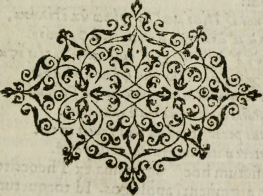 An illustration from Omnia Andreae Alciati v. c. emblemata : cum commentariis, quibus emblematum omnium aperta origine, mens authoris explicatur, & obscura omnia dubiaque illustrantur, 1583, leaf 246