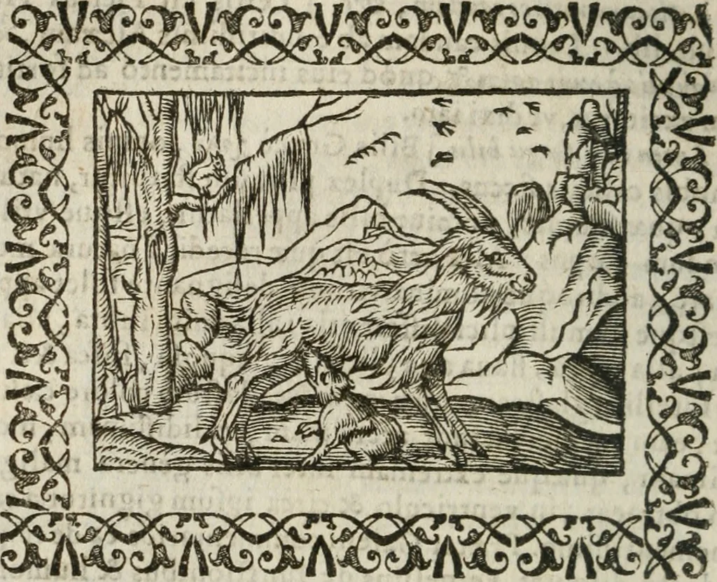 An illustration from Omnia Andreae Alciati v. c. emblemata : cum commentariis, quibus emblematum omnium aperta origine, mens authoris explicatur, & obscura omnia dubiaque illustrantur, 1583, leaf 247