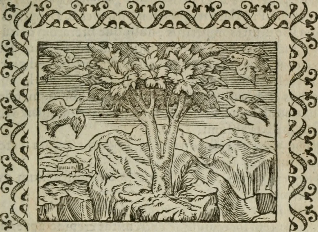 An illustration from Omnia Andreae Alciati v. c. emblemata : cum commentariis, quibus emblematum omnium aperta origine, mens authoris explicatur, & obscura omnia dubiaque illustrantur, 1583, leaf 274