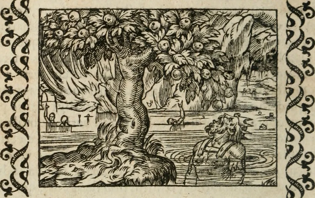 An illustration from Omnia Andreae Alciati v. c. emblemata : cum commentariis, quibus emblematum omnium aperta origine, mens authoris explicatur, & obscura omnia dubiaque illustrantur, 1583, leaf 307
