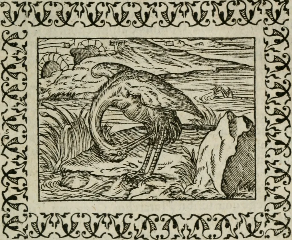 An illustration from Omnia Andreae Alciati v. c. emblemata : cum commentariis, quibus emblematum omnium aperta origine, mens authoris explicatur, & obscura omnia dubiaque illustrantur, 1583, leaf 314