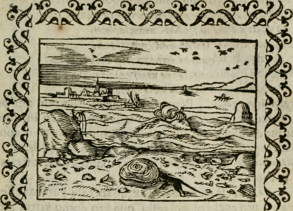An illustration from Omnia Andreae Alciati v. c. emblemata : cum commentariis, quibus emblematum omnium aperta origine, mens authoris explicatur, & obscura omnia dubiaque illustrantur, 1583, leaf 330