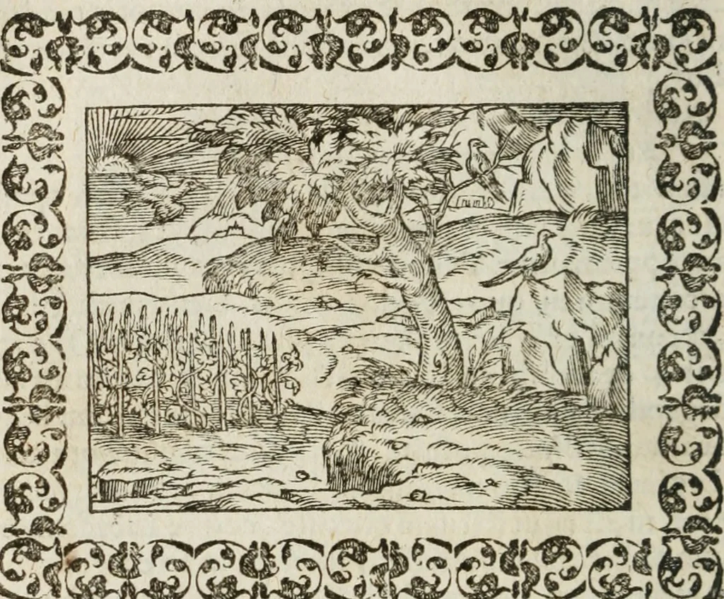 An illustration from Omnia Andreae Alciati v. c. emblemata : cum commentariis, quibus emblematum omnium aperta origine, mens authoris explicatur, & obscura omnia dubiaque illustrantur, 1583, leaf 345