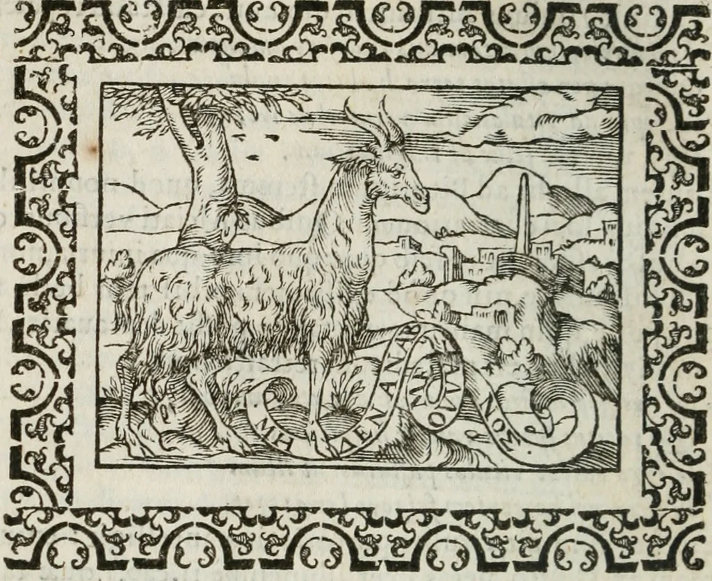 An illustration from Omnia Andreae Alciati v. c. emblemata : cum commentariis, quibus emblematum omnium aperta origine, mens authoris explicatur, & obscura omnia dubiaque illustrantur, 1583, leaf 49