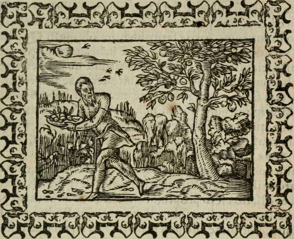 An illustration from Omnia Andreae Alciati v. c. emblemata : cum commentariis, quibus emblematum omnium aperta origine, mens authoris explicatur, & obscura omnia dubiaque illustrantur, 1583, leaf 492