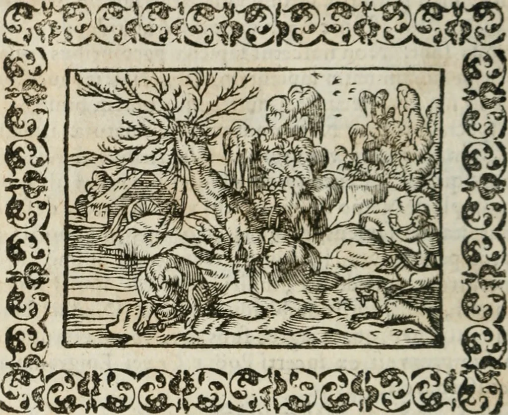 An illustration from Omnia Andreae Alciati v. c. emblemata : cum commentariis, quibus emblematum omnium aperta origine, mens authoris explicatur, & obscura omnia dubiaque illustrantur, 1583, leaf 517