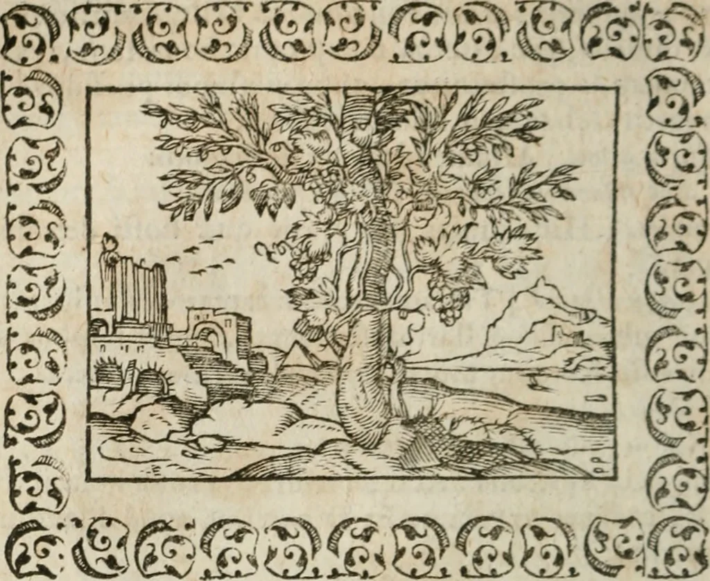 An illustration from Omnia Andreae Alciati v. c. emblemata : cum commentariis, quibus emblematum omnium aperta origine, mens authoris explicatur, & obscura omnia dubiaque illustrantur, 1583, leaf 533
