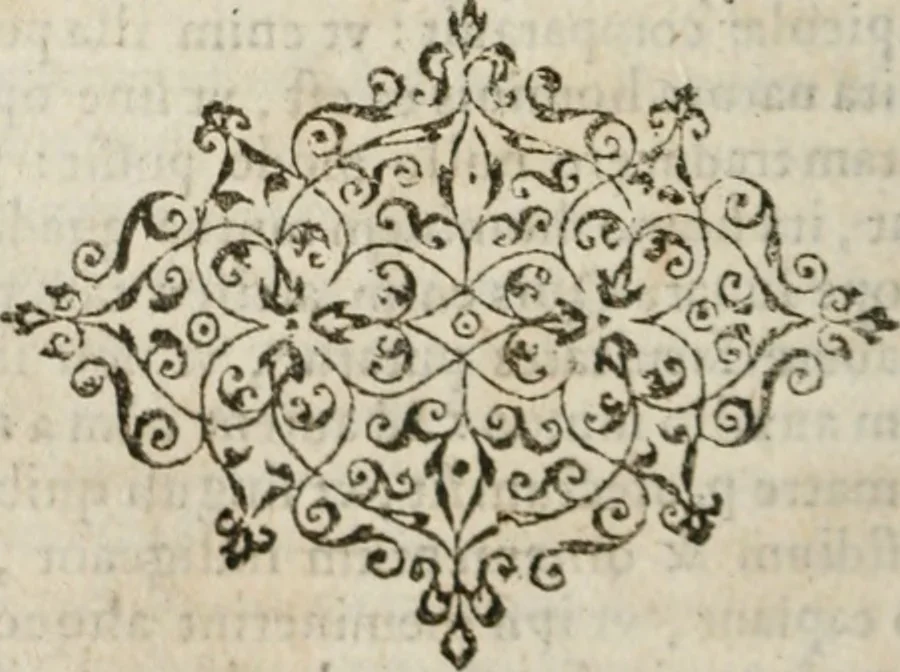 An illustration from Omnia Andreae Alciati v. c. emblemata : cum commentariis, quibus emblematum omnium aperta origine, mens authoris explicatur, & obscura omnia dubiaque illustrantur, 1583, leaf 537