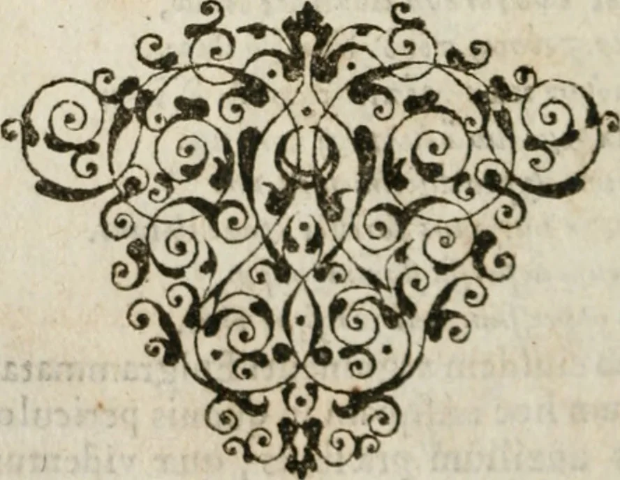 An illustration from Omnia Andreae Alciati v. c. emblemata : cum commentariis, quibus emblematum omnium aperta origine, mens authoris explicatur, & obscura omnia dubiaque illustrantur, 1583, leaf 539