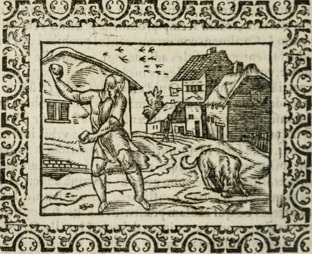 An illustration from Omnia Andreae Alciati v. c. emblemata : cum commentariis, quibus emblematum omnium aperta origine, mens authoris explicatur, & obscura omnia dubiaque illustrantur, 1583, leaf 571