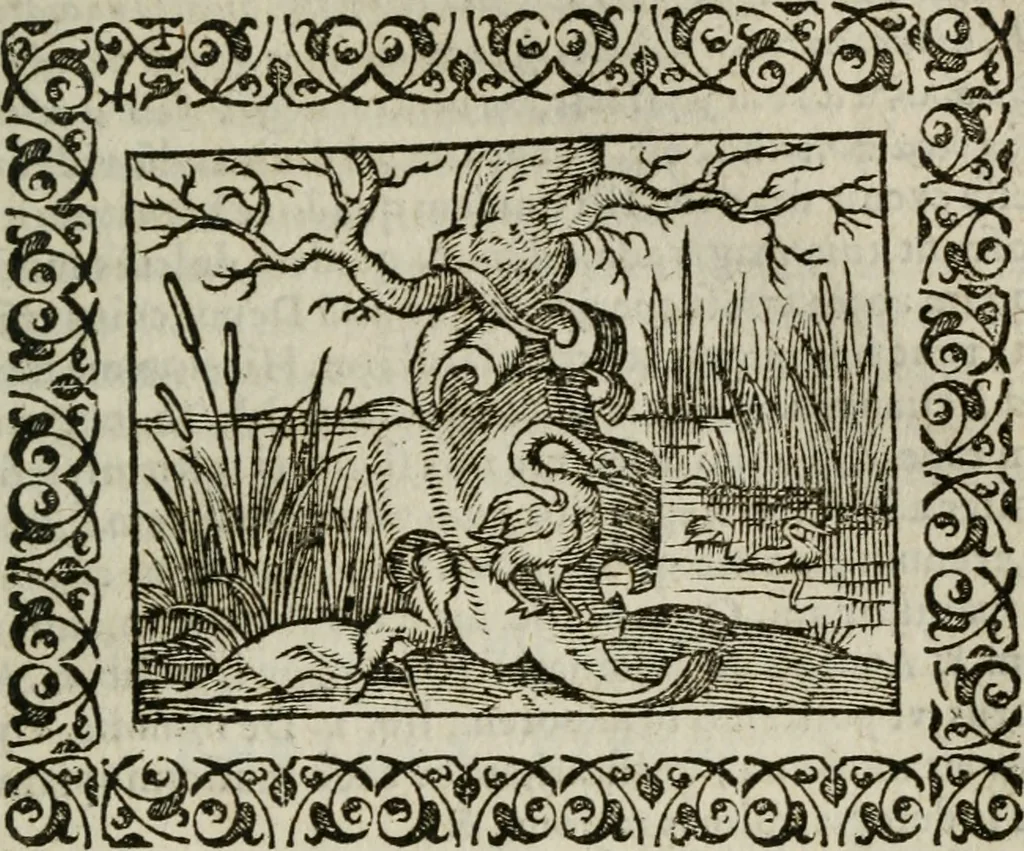 An illustration from Omnia Andreae Alciati v. c. emblemata : cum commentariis, quibus emblematum omnium aperta origine, mens authoris explicatur, & obscura omnia dubiaque illustrantur, 1583, leaf 606