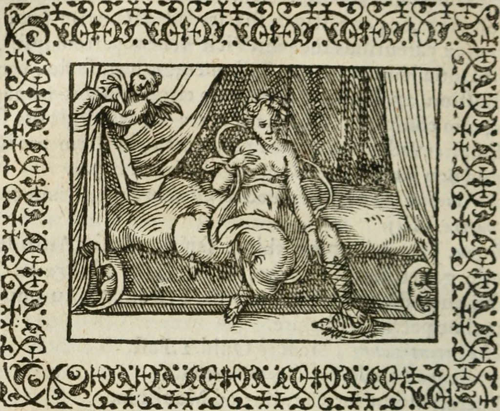 An illustration from Omnia Andreae Alciati v. c. emblemata : cum commentariis, quibus emblematum omnium aperta origine, mens authoris explicatur, & obscura omnia dubiaque illustrantur, 1583, leaf 643