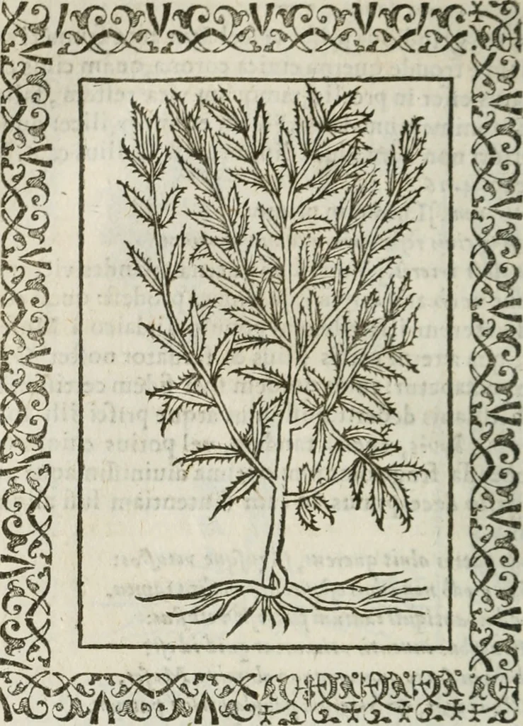An illustration from Omnia Andreae Alciati v. c. emblemata : cum commentariis, quibus emblematum omnium aperta origine, mens authoris explicatur, & obscura omnia dubiaque illustrantur, 1583, leaf 657