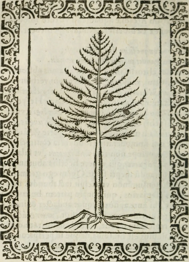 An illustration from Omnia Andreae Alciati v. c. emblemata : cum commentariis, quibus emblematum omnium aperta origine, mens authoris explicatur, & obscura omnia dubiaque illustrantur, 1583, leaf 659