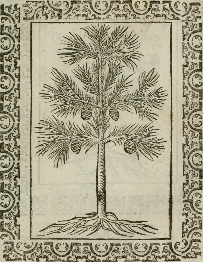 An illustration from Omnia Andreae Alciati v. c. emblemata : cum commentariis, quibus emblematum omnium aperta origine, mens authoris explicatur, & obscura omnia dubiaque illustrantur, 1583, leaf 660