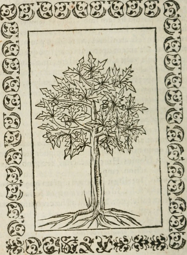 An illustration from Omnia Andreae Alciati v. c. emblemata : cum commentariis, quibus emblematum omnium aperta origine, mens authoris explicatur, & obscura omnia dubiaque illustrantur, 1583, leaf 665