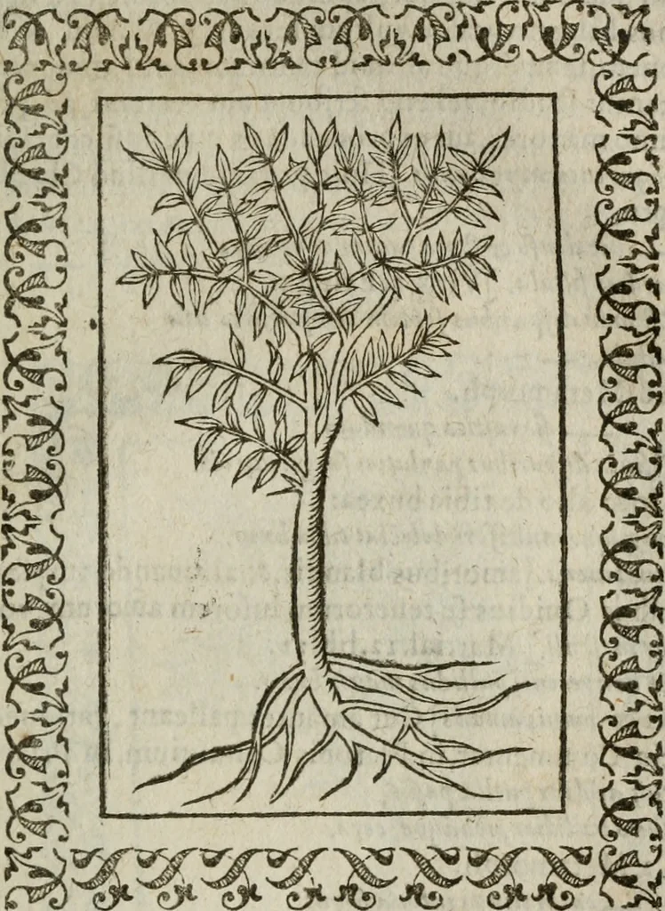 An illustration from Omnia Andreae Alciati v. c. emblemata : cum commentariis, quibus emblematum omnium aperta origine, mens authoris explicatur, & obscura omnia dubiaque illustrantur, 1583, leaf 668