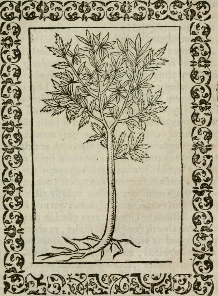 An illustration from Omnia Andreae Alciati v. c. emblemata : cum commentariis, quibus emblematum omnium aperta origine, mens authoris explicatur, & obscura omnia dubiaque illustrantur, 1583, leaf 670