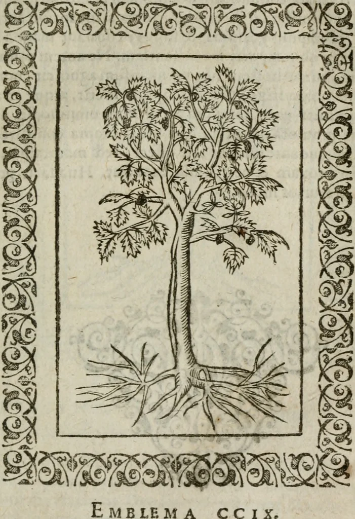 An illustration from Omnia Andreae Alciati v. c. emblemata : cum commentariis, quibus emblematum omnium aperta origine, mens authoris explicatur, & obscura omnia dubiaque illustrantur, 1583, leaf 672