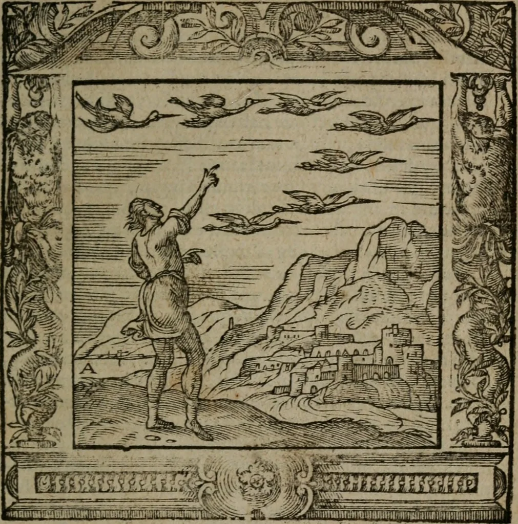 An illustration from Omnia Andreae Alciati v.c. emblemata : cum commentariis, quibus emblematum omnium aperta origine, mens auctoris explicatur, & obscura omnia dubiaque illustrantur, 1581, leaf 118