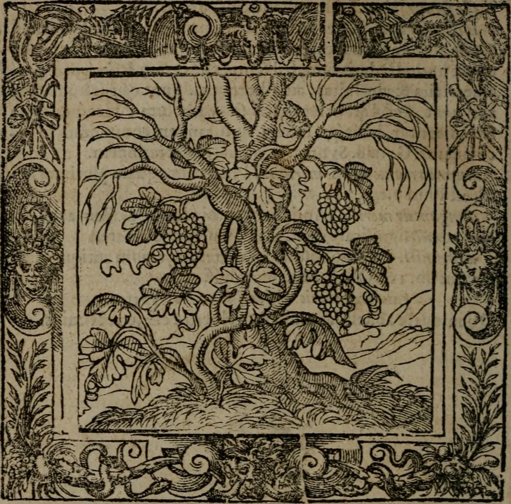 An illustration from Omnia Andreae Alciati v.c. emblemata : cum commentariis, quibus emblematum omnium aperta origine, mens auctoris explicatur, & obscura omnia dubiaque illustrantur, 1581, leaf 143