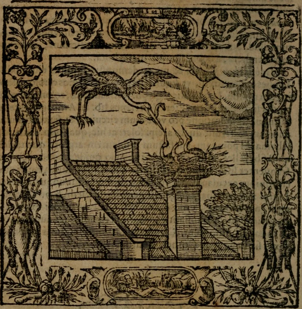 An illustration from Omnia Andreae Alciati v.c. emblemata : cum commentariis, quibus emblematum omnium aperta origine, mens auctoris explicatur, & obscura omnia dubiaque illustrantur, 1581, leaf 173