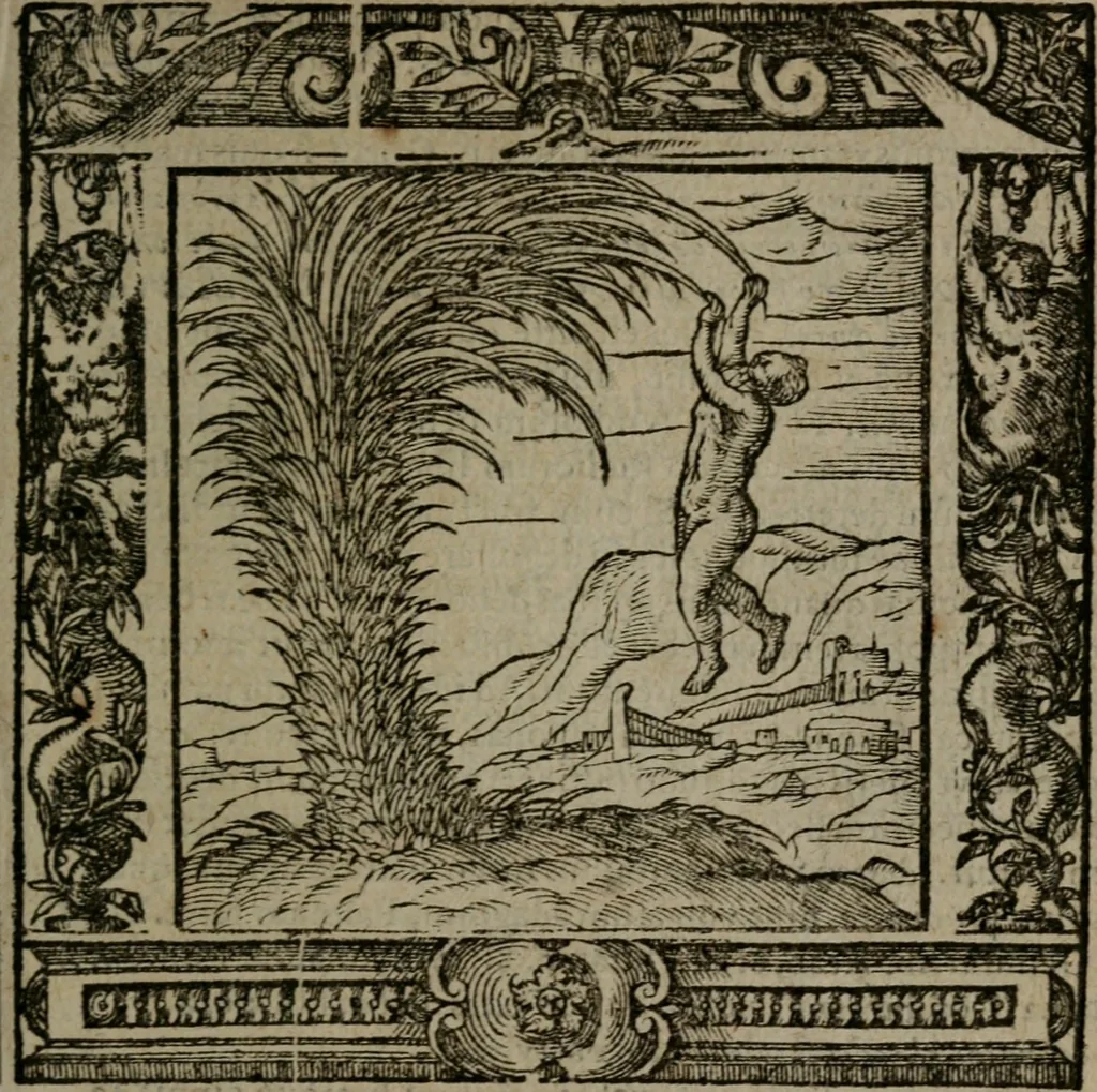 An illustration from Omnia Andreae Alciati v.c. emblemata : cum commentariis, quibus emblematum omnium aperta origine, mens auctoris explicatur, & obscura omnia dubiaque illustrantur, 1581, leaf 196