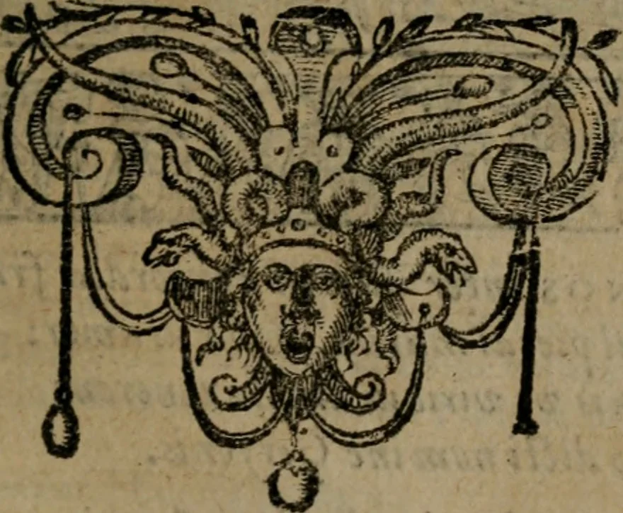 An illustration from Omnia Andreae Alciati v.c. emblemata : cum commentariis, quibus emblematum omnium aperta origine, mens auctoris explicatur, & obscura omnia dubiaque illustrantur, 1581, leaf 208