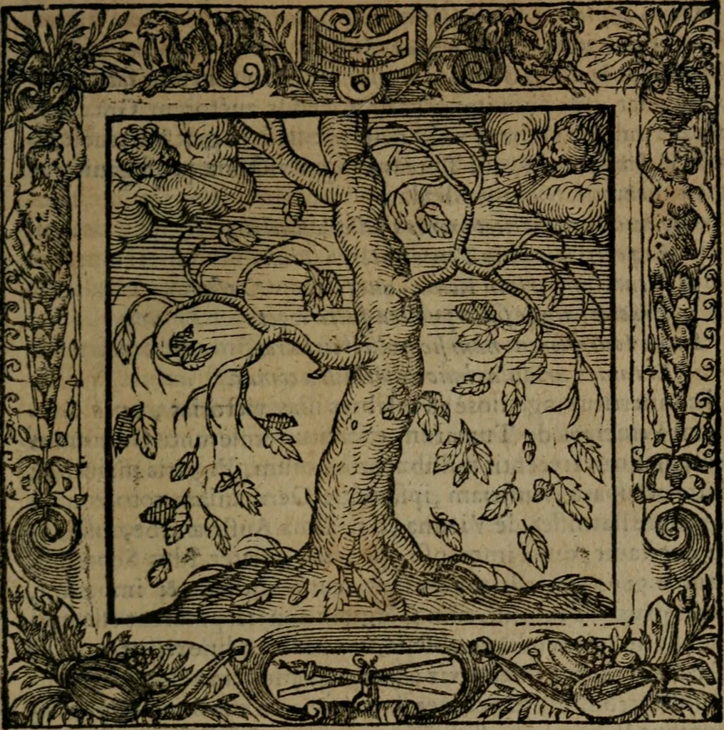 An illustration from Omnia Andreae Alciati v.c. emblemata : cum commentariis, quibus emblematum omnium aperta origine, mens auctoris explicatur, & obscura omnia dubiaque illustrantur, 1581, leaf 216