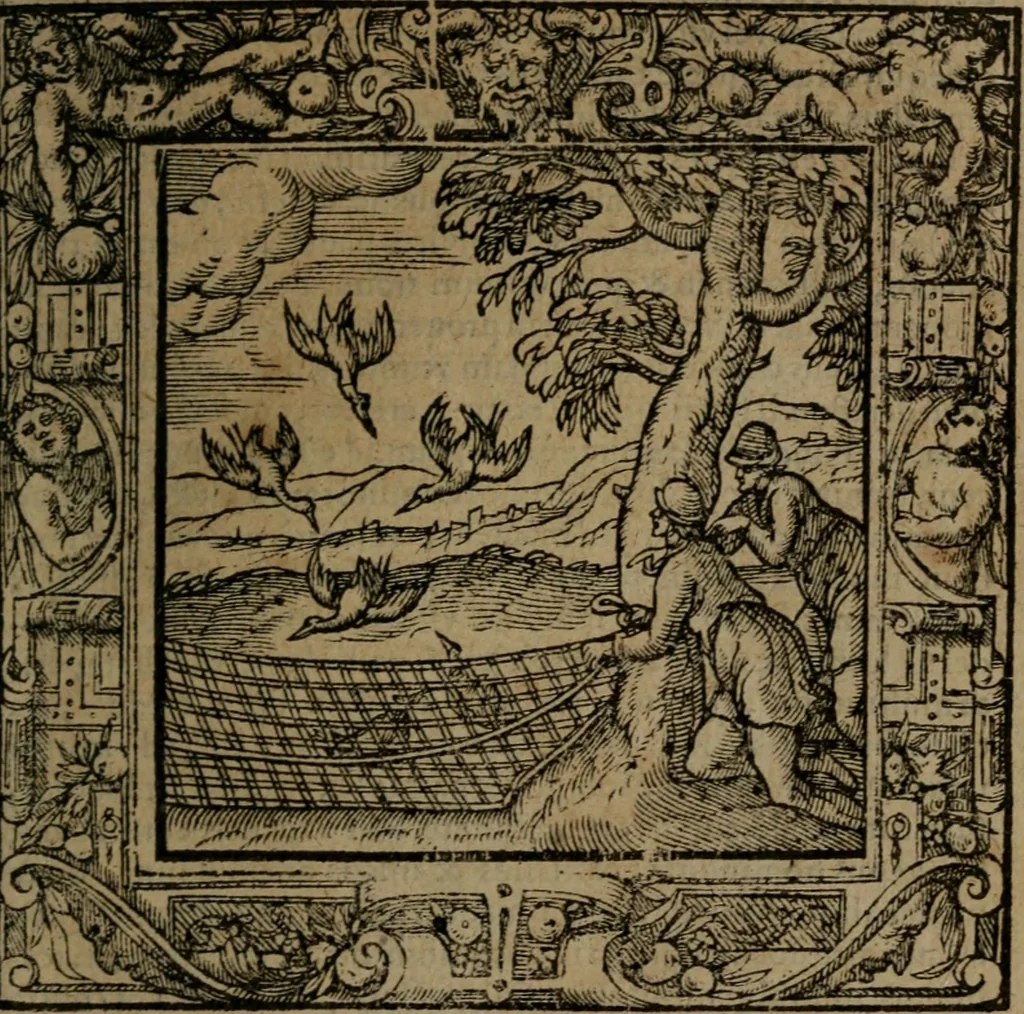 An illustration from Omnia Andreae Alciati v.c. emblemata : cum commentariis, quibus emblematum omnium aperta origine, mens auctoris explicatur, & obscura omnia dubiaque illustrantur, 1581, leaf 240