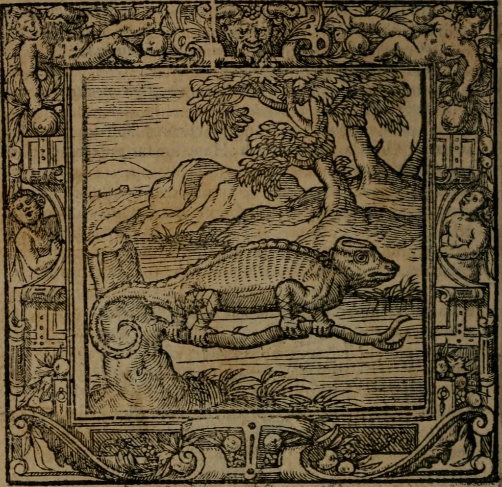 An illustration from Omnia Andreae Alciati v.c. emblemata : cum commentariis, quibus emblematum omnium aperta origine, mens auctoris explicatur, & obscura omnia dubiaque illustrantur, 1581, leaf 249