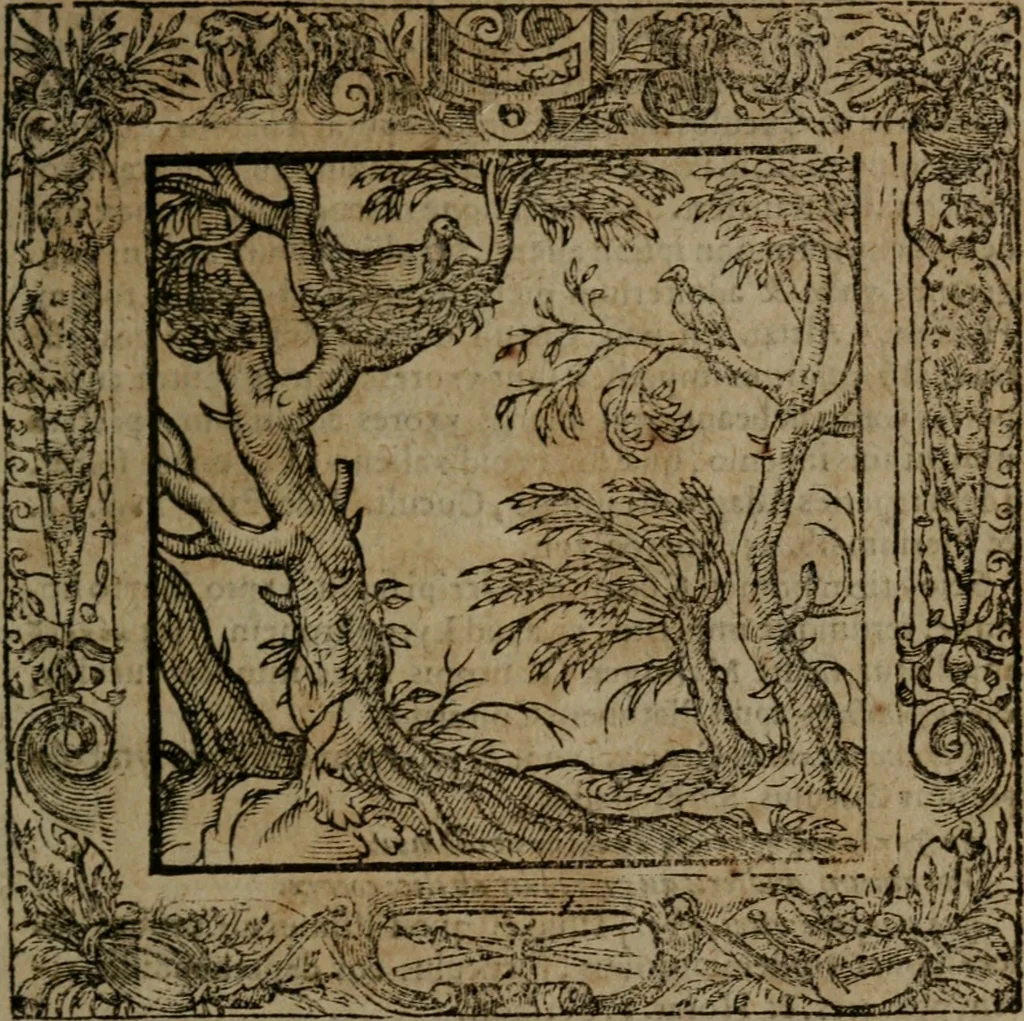 An illustration from Omnia Andreae Alciati v.c. emblemata : cum commentariis, quibus emblematum omnium aperta origine, mens auctoris explicatur, & obscura omnia dubiaque illustrantur, 1581, leaf 268