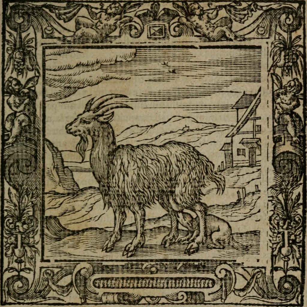 An illustration from Omnia Andreae Alciati v.c. emblemata : cum commentariis, quibus emblematum omnium aperta origine, mens auctoris explicatur, & obscura omnia dubiaque illustrantur, 1581, leaf 278