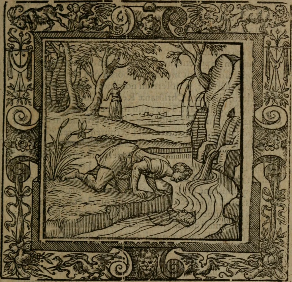 An illustration from Omnia Andreae Alciati v.c. emblemata : cum commentariis, quibus emblematum omnium aperta origine, mens auctoris explicatur, & obscura omnia dubiaque illustrantur, 1581, leaf 292