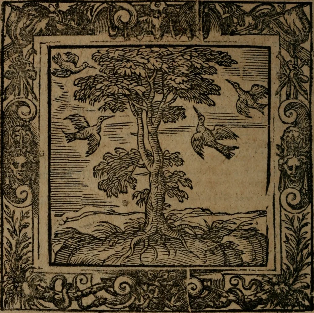 An illustration from Omnia Andreae Alciati v.c. emblemata : cum commentariis, quibus emblematum omnium aperta origine, mens auctoris explicatur, & obscura omnia dubiaque illustrantur, 1581, leaf 307