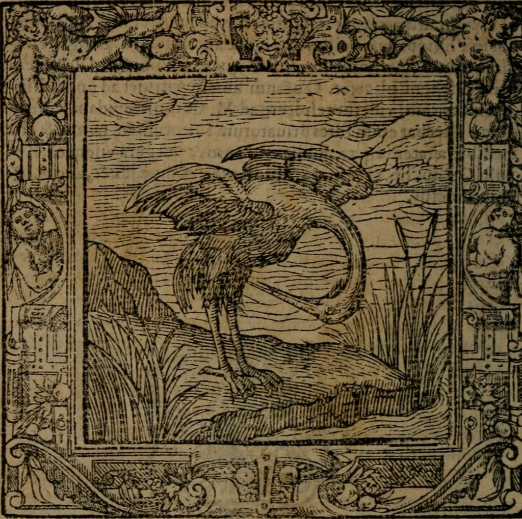 An illustration from Omnia Andreae Alciati v.c. emblemata : cum commentariis, quibus emblematum omnium aperta origine, mens auctoris explicatur, & obscura omnia dubiaque illustrantur, 1581, leaf 349